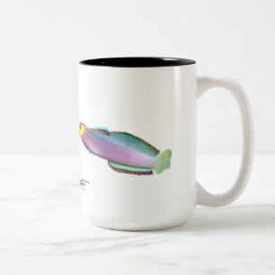 Tasse 2 Couleurs Dartfish de Helfrich, helfrichi de Nemateleotris