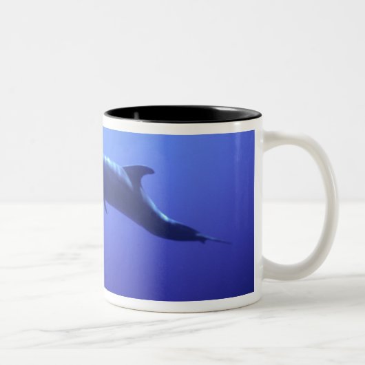 Tasse 2 Couleurs Dauphin (Droit)