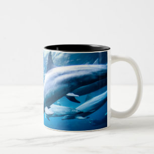 Tasse 2 Couleurs Dauphins sous-marins