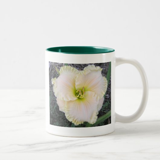 Tasse 2 Couleurs Daylily crème parfait (Droit)