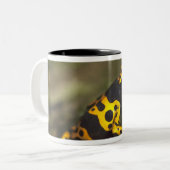 Tasse 2 Couleurs Dendrobate à bandes jaunes Dendrobates (Devant gauche)