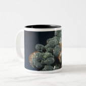 Tasse 2 Couleurs Descloizite sur la calcite (Devant gauche)