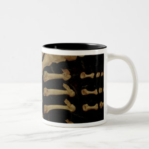 Tasse 2 Couleurs Dessin anatomique des os du pied
