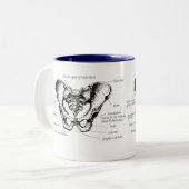 Tasse 2 Couleurs Détails masculins de bassin (Devant gauche)