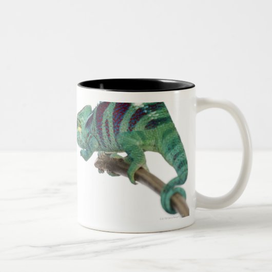 Tasse 2 Couleurs Deux caméléons de panthère fouineurs soient (Droit)