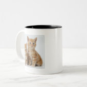 Tasse 2 Couleurs Deux chatons adorables (Devant gauche)