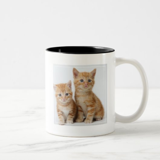 Tasse 2 Couleurs Deux chatons adorables (Droit)