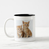Tasse 2 Couleurs Deux chatons adorables (Gauche)