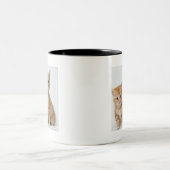 Tasse 2 Couleurs Deux chatons adorables (Centre)