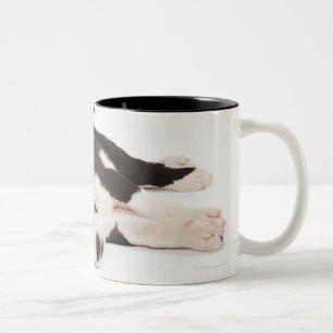 Tasse 2 Couleurs Deux chiots de great dane de harlequin sur le