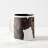 Tasse 2 Couleurs Deux chiots de labrador retriever de chocolat (Devant gauche)
