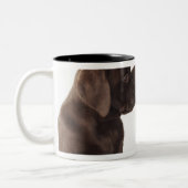 Tasse 2 Couleurs Deux chiots de labrador retriever de chocolat (Gauche)