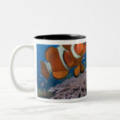 Tasse 2 Couleurs Deux Clownfish (Gauche)