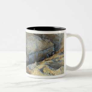 Tasse 2 Couleurs Deux dispositifs en forme de boîte emballés