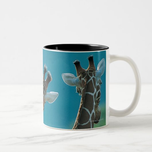Tasse 2 Couleurs Deux girafes (camelopardalis de Giraffa) (Droit)
