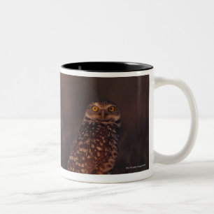 Tasse 2 Couleurs Deux hiboux sur le sable