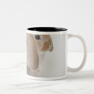 Tasse 2 Couleurs Deux lapins. Nain et la Hollande Lop. de