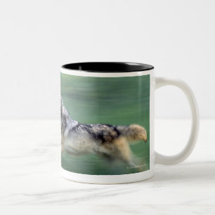 Tasse 2 Couleurs Deux loups dans le pré de montagne