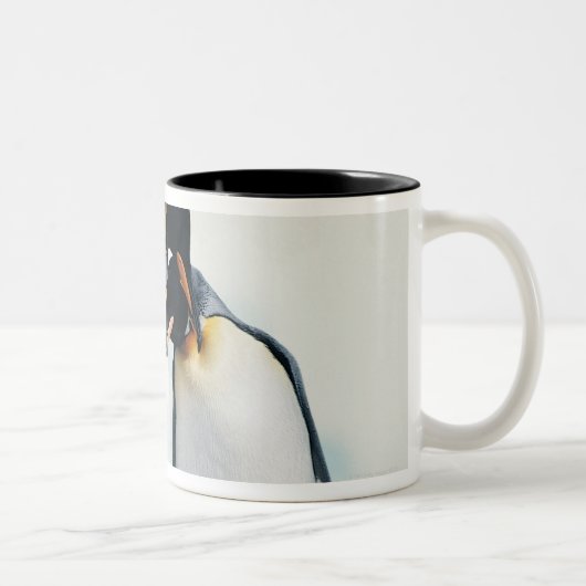 Tasse 2 Couleurs Deux pingouins affectueux (Droit)