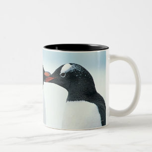 Tasse 2 Couleurs Deux pingouins touchant des becs