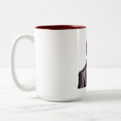 Tasse 2 Couleurs Directorsaurus rex (Gauche)