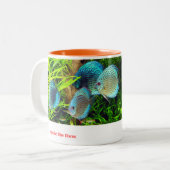 Tasse 2 Couleurs Discus fish (Devant gauche)