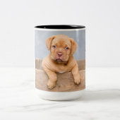 Tasse 2 Couleurs Dogue de Bordeaux (Centre)