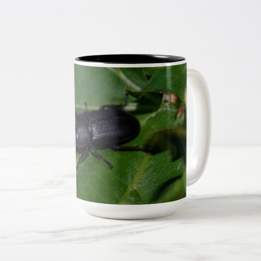 Tasse 2 Couleurs Dorcus parallelipipedus, le moindre dendroctone du (Devant droit)