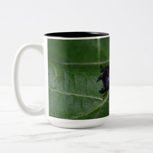 Tasse 2 Couleurs Dorcus parallelipipedus, le moindre dendroctone du (Gauche)