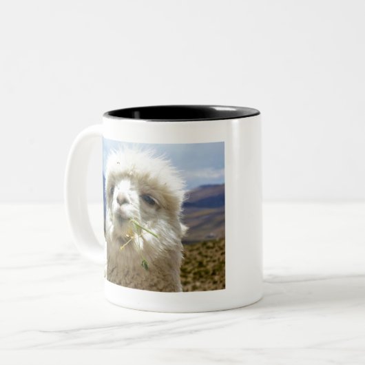 Tasse 2 Couleurs Douce Alpaca (Devant gauche)