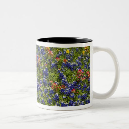 Tasse 2 Couleurs Drapeau américain dans un champ de bleuets, 2 (Droit)