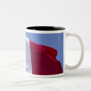 Tasse 2 Couleurs Drapeau français