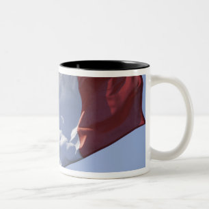 Tasse 2 Couleurs Drapeau irlandais