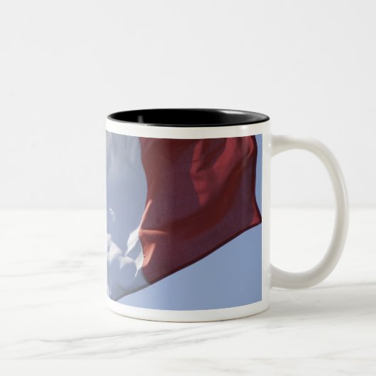 Tasse 2 Couleurs Drapeau irlandais (Droit)