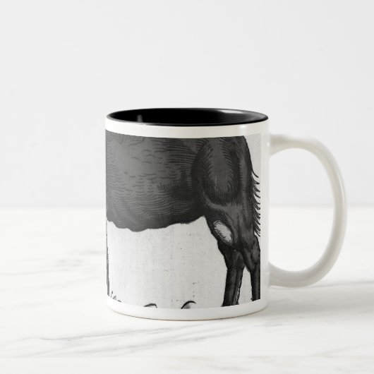 Tasse 2 Couleurs Dromadaire, de 'Historial Animalium (Droit)