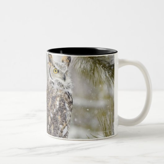 Tasse 2 Couleurs Duc (Droit)