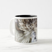 Tasse 2 Couleurs Duc du Bengale (Devant gauche)