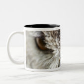 Tasse 2 Couleurs Duc du Bengale (Gauche)