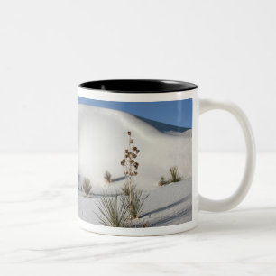Tasse 2 Couleurs Dunes transversales et Yucca à feuilles de savon