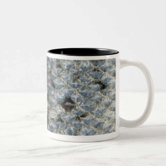 Tasse 2 Couleurs Échelles de poissons 2 (Droit)