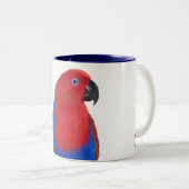 Tasse 2 Couleurs Eclectus femelle 11oz (Devant droit)