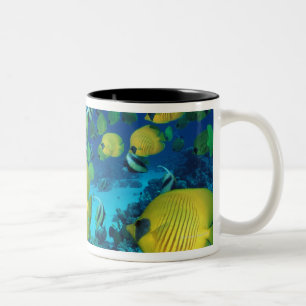 Tasse 2 Couleurs École de la natation de poissons de papillon sur