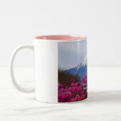 TASSE 2 COULEURS ÉCOLE DE YAMATO (Gauche)