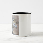 Tasse 2 Couleurs écureuil (Centre)