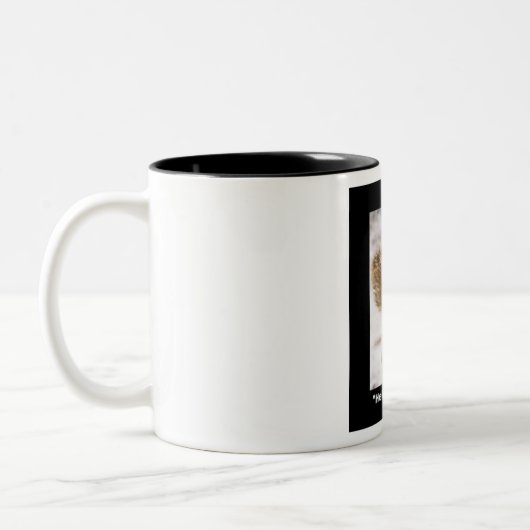 Tasse 2 Couleurs Écureuil avec ses écrous (Gauche)