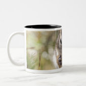 Tasse 2 Couleurs Écureuil mangeant un cône de pin (Gauche)