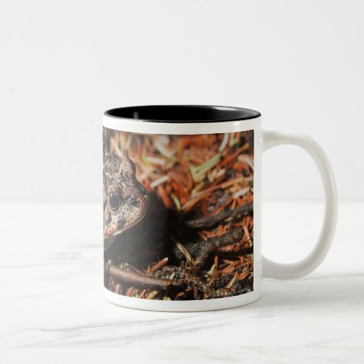 Tasse 2 Couleurs Edmonton, Alberta, Canada 3 (Droit)