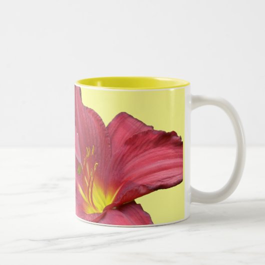 Tasse 2 Couleurs Éléments de coordination diurne rouge (Droit)