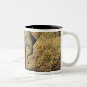 Tasse 2 Couleurs Éléphant d'Afrique bébé, Loxodonta Africana,
