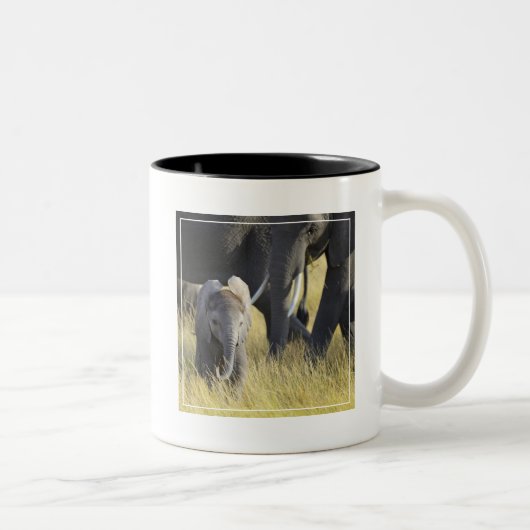 Tasse 2 Couleurs Éléphant de bébé (Droit)